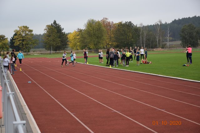 biegip 9